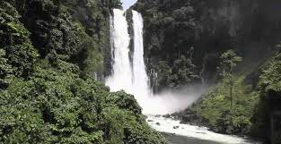 Nyungwe Forest Waterfalls